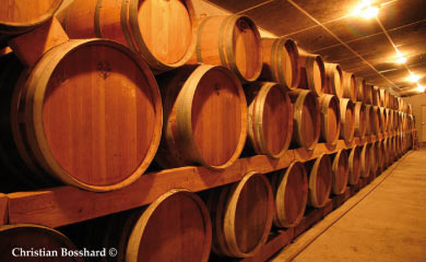 Haras de Saint Jean à Cambremer : les caves