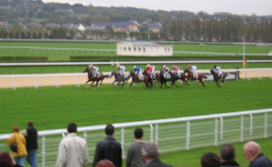 Haras de Saint Jean à Cambremer : hippodrome à proximité